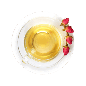 Bien-être au Travail