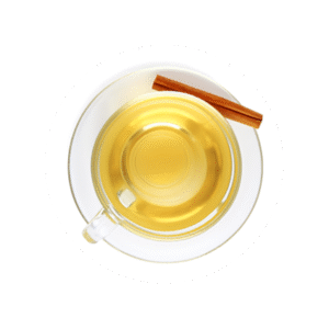 Thé & Sport – Énergie, Vitalité et Récupération